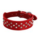 (image for) Beaupets Bull Terrier Collar Studded 60Cm Red