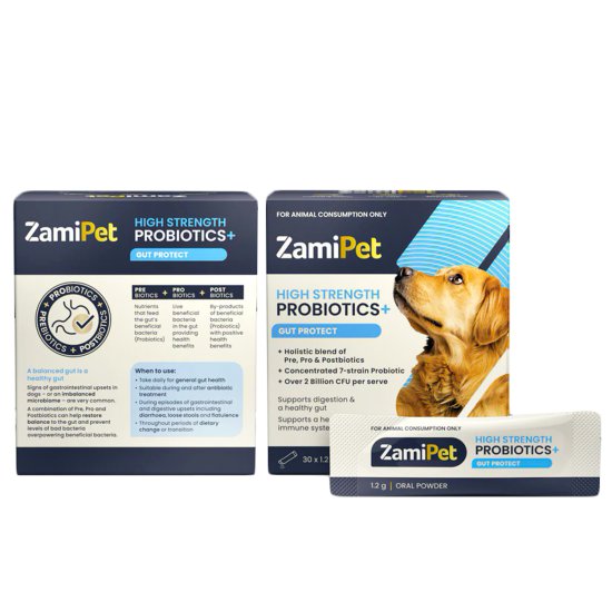 (image for) ZamiPet Dog Probiotics 30Pack - Click Image to Close