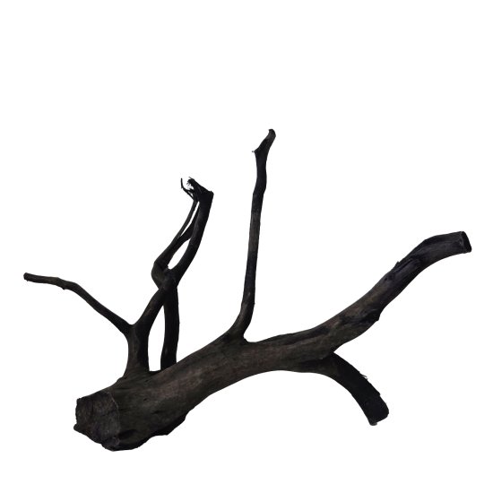 (image for) AP Naturals Woods Dark Goldvine Small 20-30cm - Click Image to Close