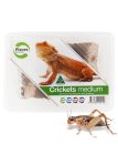 (image for) Pisces Live Crickets Medium Tub Approx 40