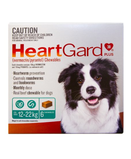 (image for) Heartgard Plus Dog 6Pack Green 12-22Kg - Click Image to Close