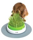 (image for) Catit 2.0 Cat Senses Grass Planter