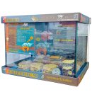 (image for) GYPR Terrarium Glass Mini Hermit Crab Kit