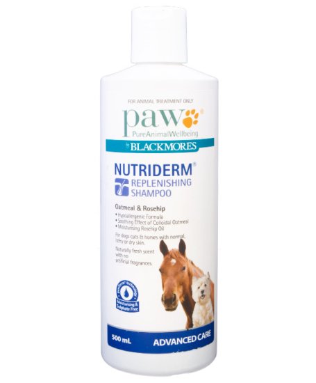 (image for) Paw Nutriderm Shampoo 500ml - Click Image to Close