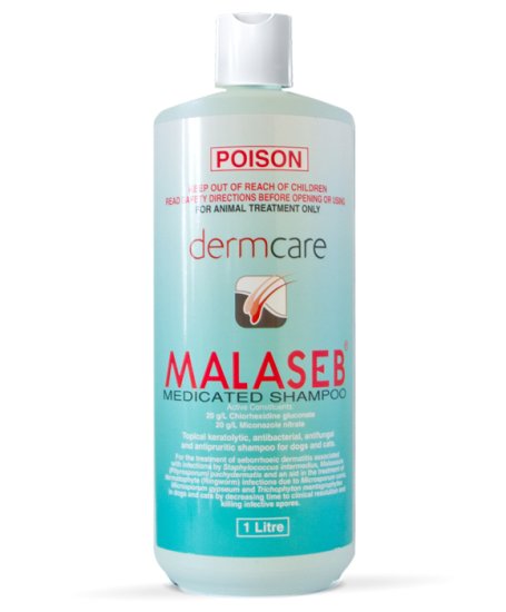 (image for) Dermcare Malaseb Medicated Shampoo 1L - Click Image to Close