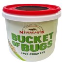 (image for) MiniBeasts Live Crickets Small Bucket Approx 400