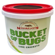 (image for) MiniBeasts Live Crickets Small Bucket Approx 400
