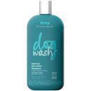 (image for) DogWash Shampoo 354ml Itchy Relief Oatmeal