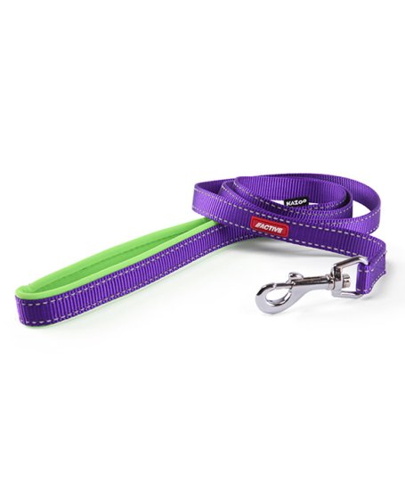 (image for) Kazoo Action Nylon Lead Purp/Lme 1800X15Mm - Click Image to Close