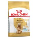 (image for) Royal Canin Dog Poodle Adult 8+ 1.5kg