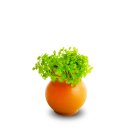 (image for) Pisces Live Plant Pots 5cm Monte Carlo