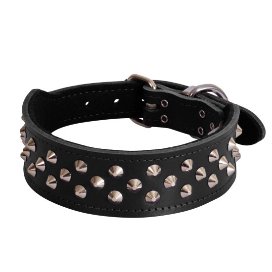 (image for) Beaupets Bull Terrier Collar Studded 60Cm Black - Click Image to Close