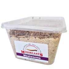 (image for) MiniBeasts Live Mealworms 250g