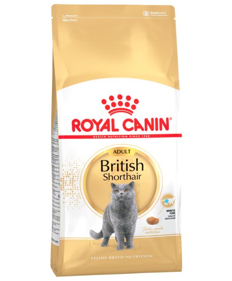 (image for) Royal Canin Cat British Shorthair Adult 4kg - Click Image to Close