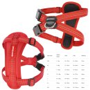 (image for) Ezydog Essential Harness CP M Red