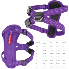 (image for) Ezydog Essential Harness CP 2XS Purple