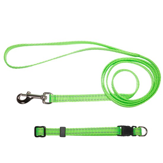 (image for) Beaupets Puppy Collar & Lead Set Fluro Green - Click Image to Close