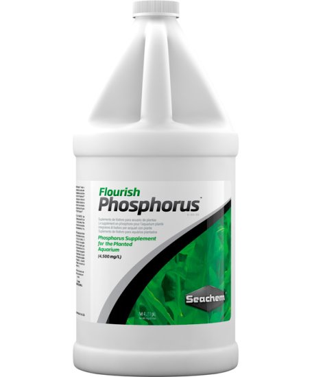 (image for) Seachem Flourish Phosphorus 4L - Click Image to Close