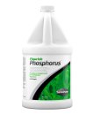 (image for) Seachem Flourish Phosphorus 2L