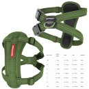 (image for) Ezydog Essential Harness CP XL Green