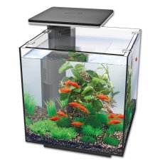 (image for) Hailea Aqua Tank QB30 LED Black 32x32x42cm