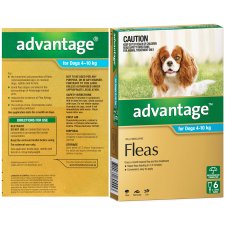 (image for) Advantage Dog 4-10Kg Medium Aqua 6Pack