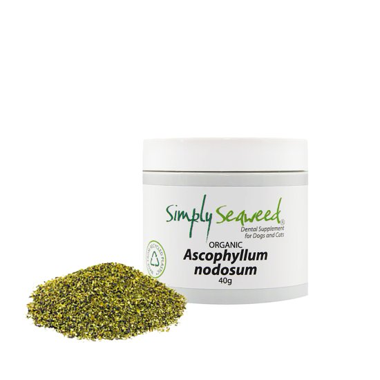 (image for) Simply Seaweed Dental Supplement for Dogs Cats 40g - Click Image to Close
