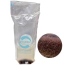 (image for) Live Blackworms 20ml