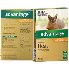 (image for) Advantage Cat 0-4Kg Small Orange 4Pack