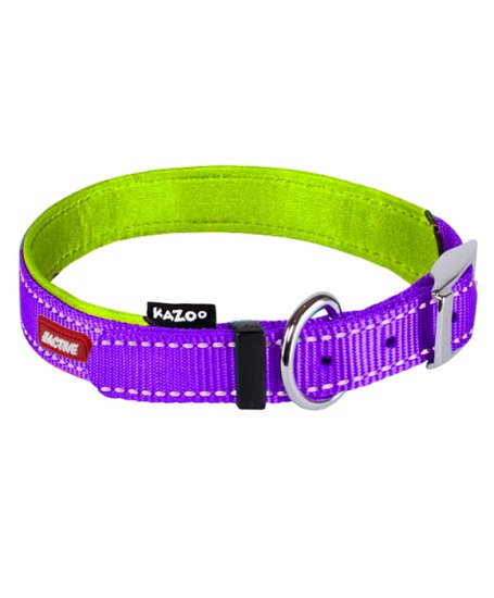 (image for) Kazoo Action Nylon Collar Purp/Lme 550X20Mm L - Click Image to Close