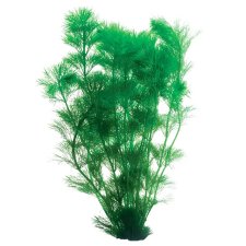 (image for) Pisces Live Plant Bunch Giant Ambulia