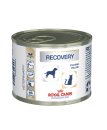 (image for) Royal Canin PD Canine/Feline Recovery 12x195g