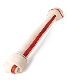 (image for) Kazoo Knot Bone 35Cm 1Pk