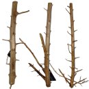 (image for) AP Naturals Woods Long Hands 40-60cm