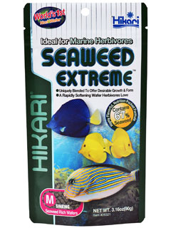(image for) Hikari Seaweed Extreme Mini Wafer 90g - Click Image to Close