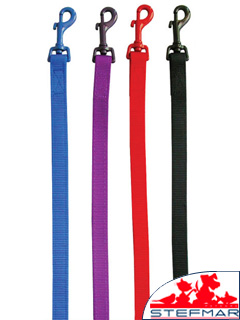 (image for) Beaupets Lead Nylon Rub Back 20Mm Blue - Click Image to Close